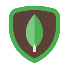 MongoDB NoSQL Database